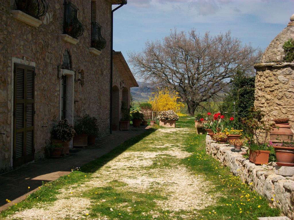 Agriturismo Il Poggiolo Монтемерано Экстерьер фото