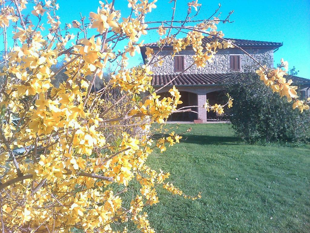 Agriturismo Il Poggiolo Монтемерано Экстерьер фото